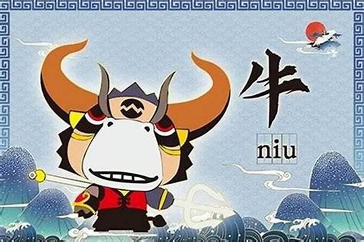本命年牛戴什么好本命年的大忌属牛