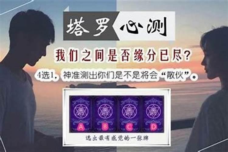 2025离婚最惨的4大生肖 属女