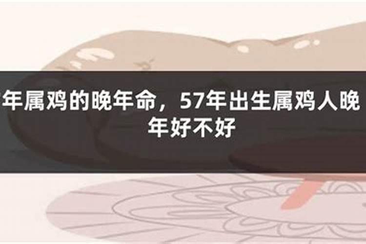 八字命理中的三合是什么意思
