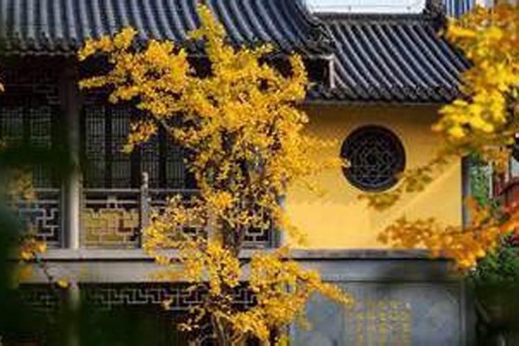 八字五行缺土性格特点分析