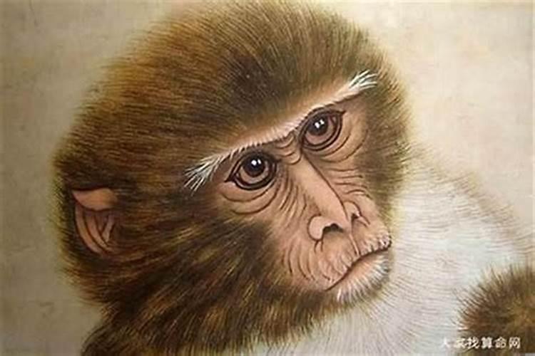 1968年属猴最后一劫2024 1968年属猴人最后的劫难什么时候