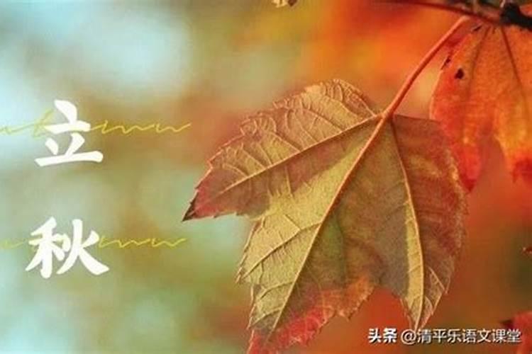 立秋的风俗吃什么