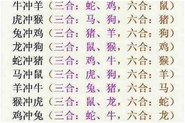 蛇和虎为什么不合？求明人指点!