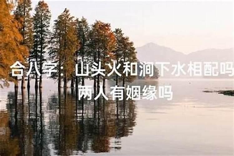 兔人在蛇年2025年每月运势如何