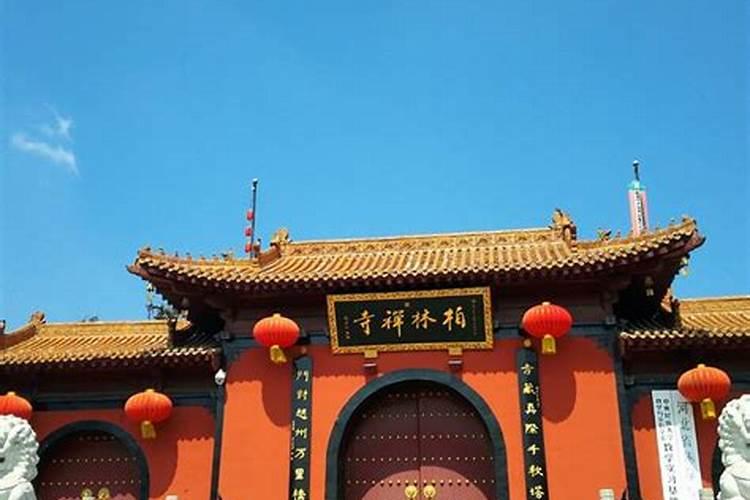 属马的和什么属相的人最合适做夫妻