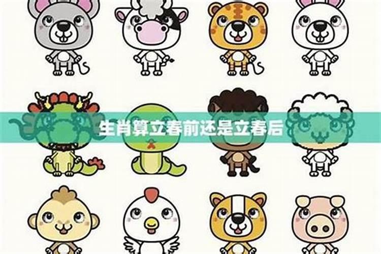 童子命的女人是福还是祸,感情顺利吗