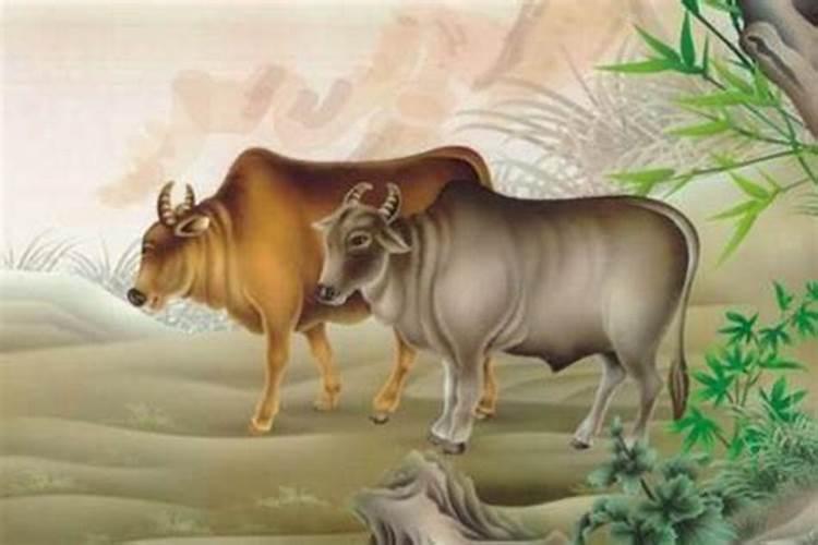 假童子命是怎么回事 脸部特征 是谁投胎来的 前世是什么