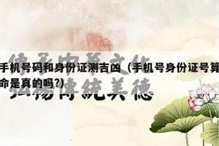 身份证号码跟手机号码怎么算命,身份证号算命骗局