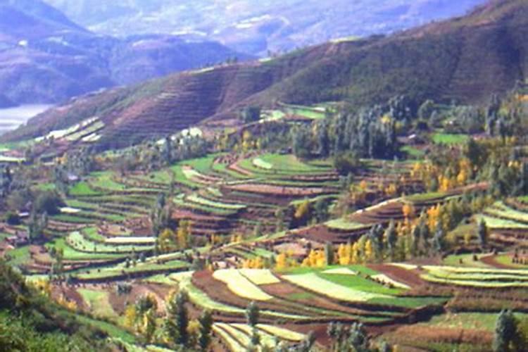 杨朝邦相关信息