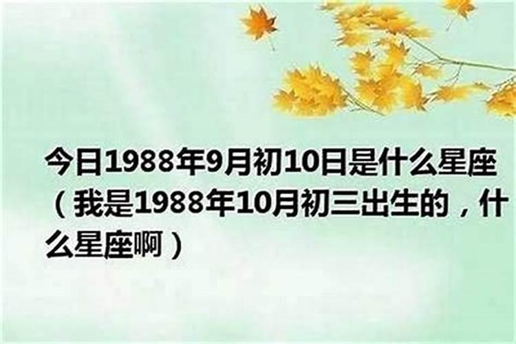 1980年2025年属猴的运势详解