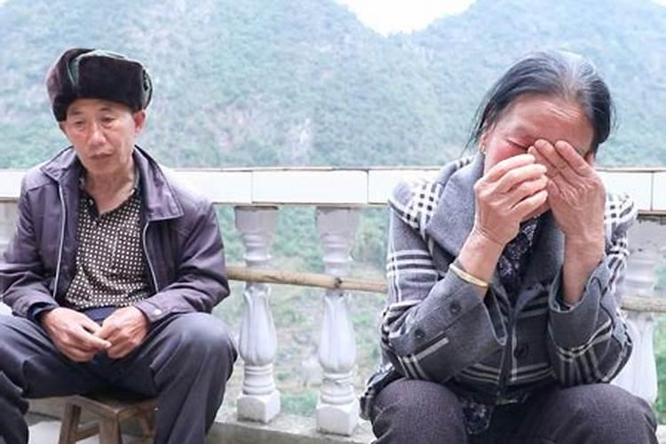 梦见超大海龟的预兆