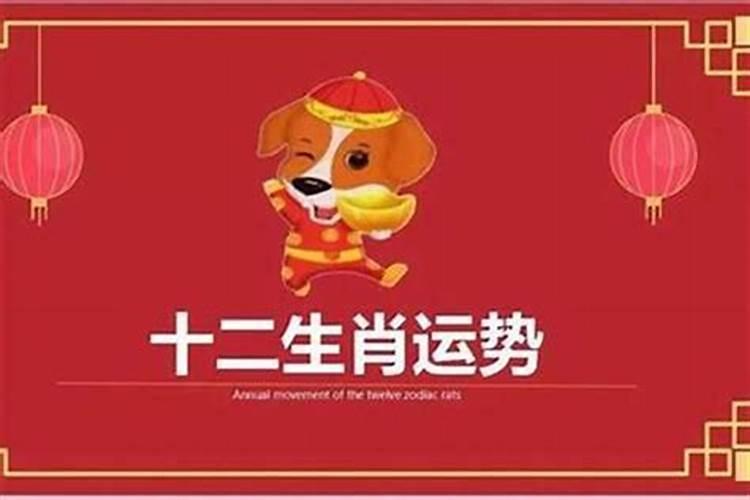 82年属狗何时走大运哪年财运好