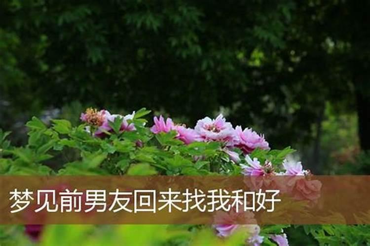 太岁符怎么请？请太岁符的注意事项？