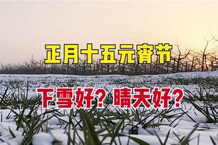 1991年正月初二是下雪了么？