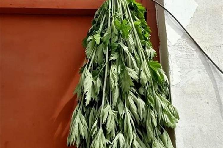 艾草挂在门里还是门外