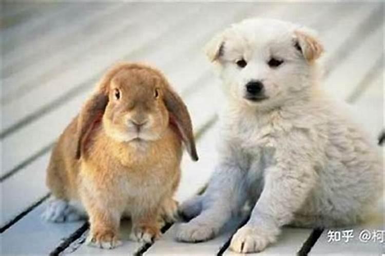 催财最猛的10个方法