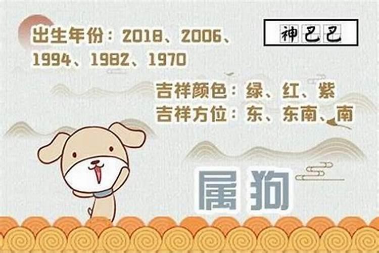 生肖狗何时走好运