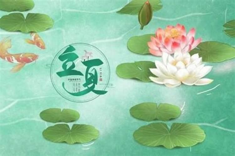 属蛇的人几月份出生最好命