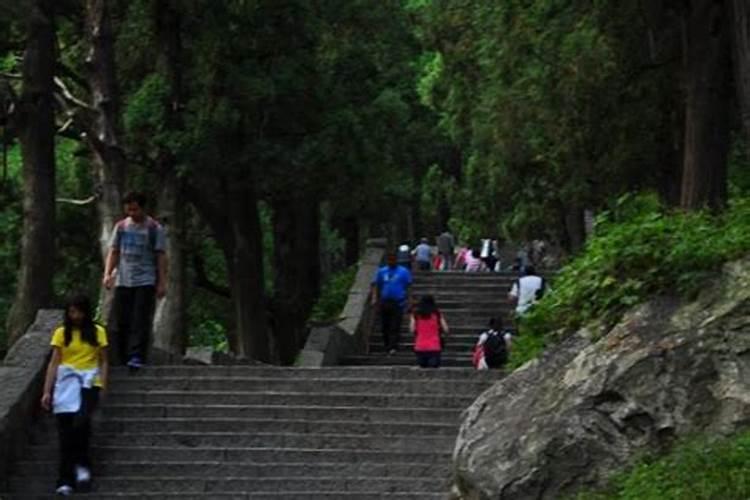 为什么泰山童子不能爬泰山？
