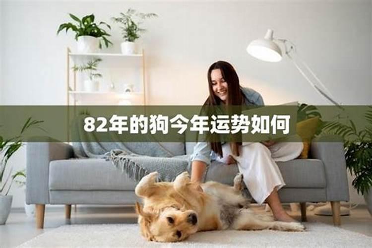 四种太岁哪个最严重