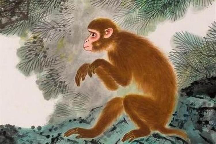 梦见大蟒蛇进家是什么征兆