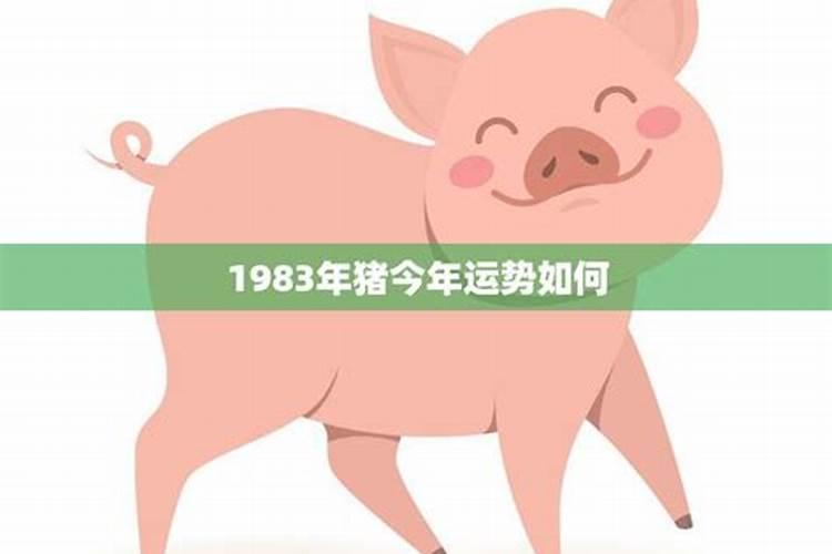 梦见没见过面的人来找我的预兆