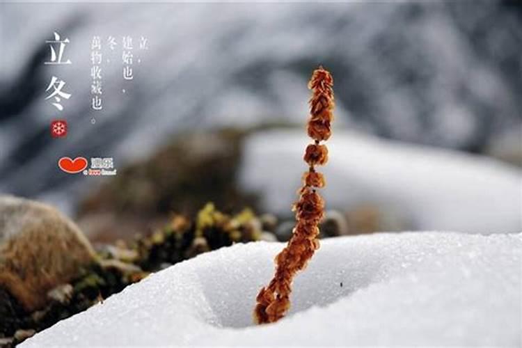 梦见老公出轨什么征兆
