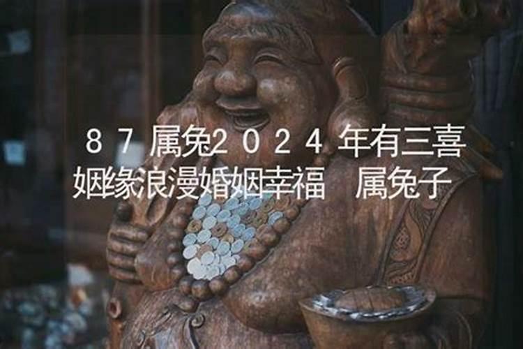 2024年3月属兔人运势 生肖兔三月会怎么样