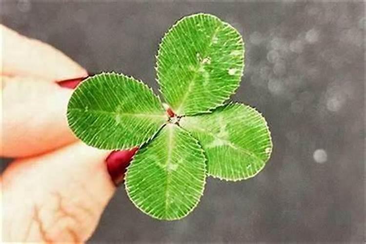 大年初二可以出去玩吗