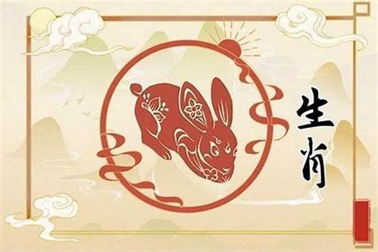属兔最佳婚配属相
