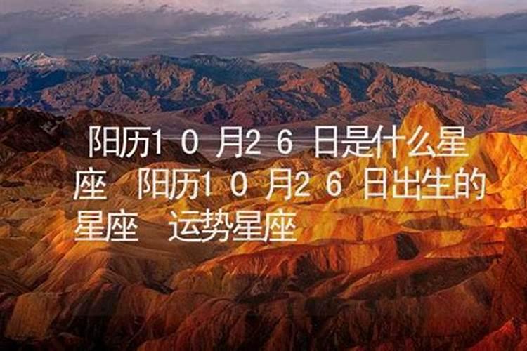 属狗2025年运势详解