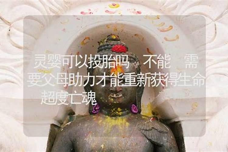 一般合八字合几个最好