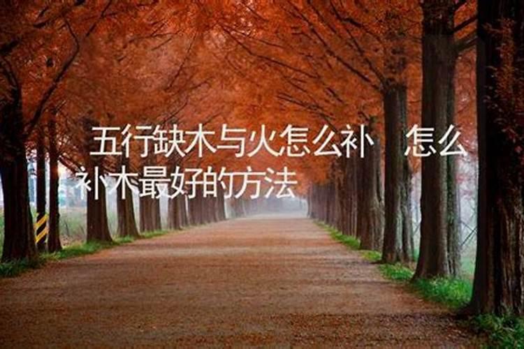 五行缺木适合和属相虎,属虎和什么最配