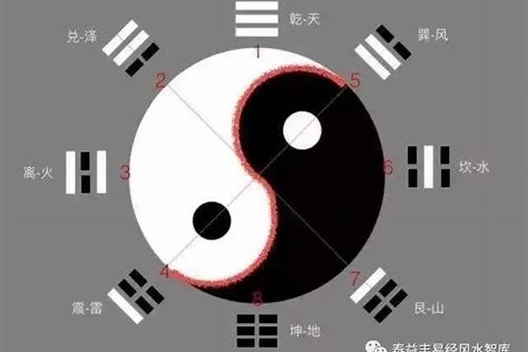 《易经》第二十四卦 复卦启示 :孕育,寓动于顺