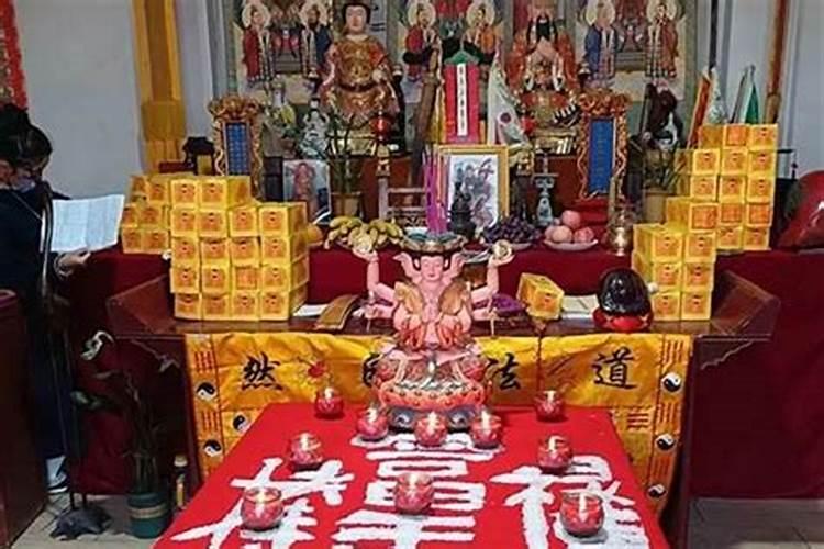 生肖鼠2025年运势 属鼠2025年运势及运程
