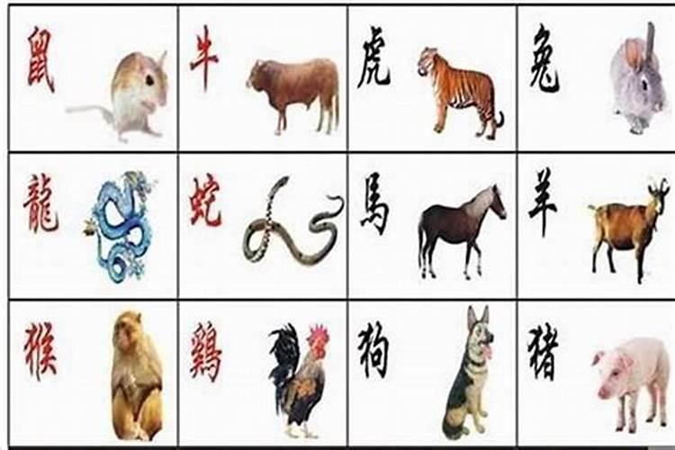 1963属兔幸运数字
