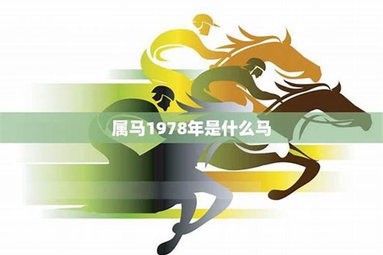 羊女和什么属相蕞配