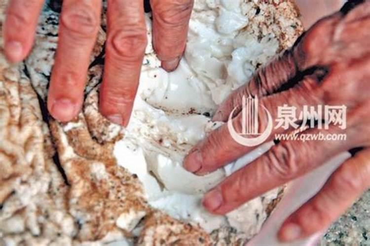 太岁是什么东西？