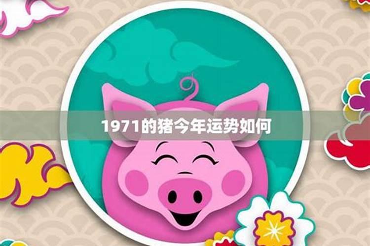1971年属猪2025年运势及运程