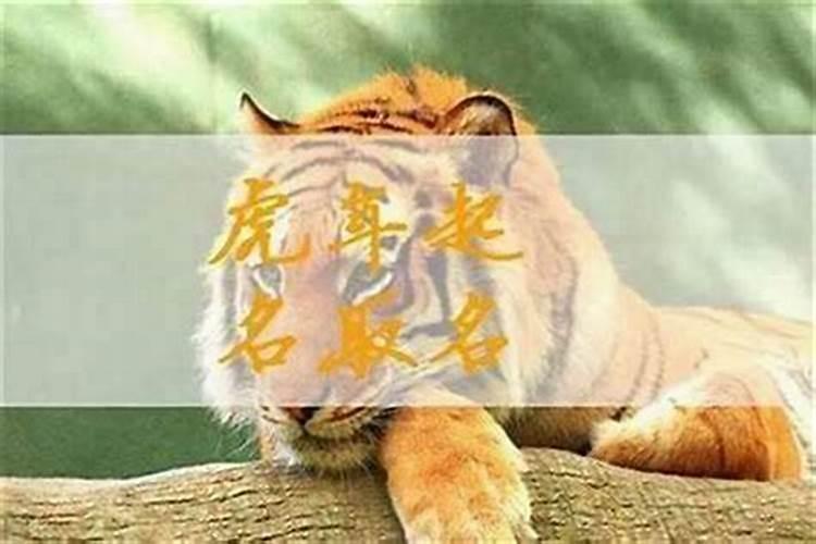什么叫犯太岁犯太岁会怎么样