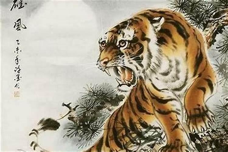 1998年阴历9月20日生人一生运程
