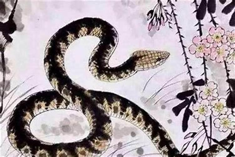一九六五年阴历六月初四未时生男命如何？