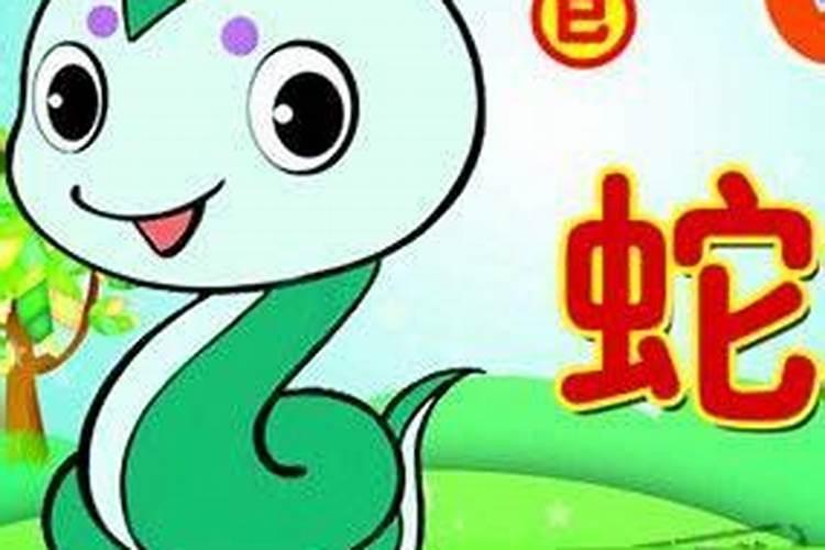 属蛇出生年月日时辰命运详解家成业就财利顺风？