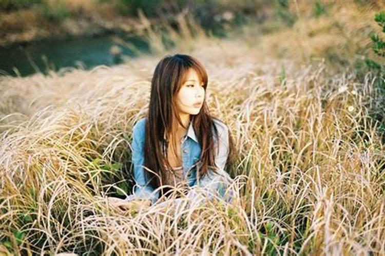 熊神进12生肖一周生肖运程(7月5日至7月11日)