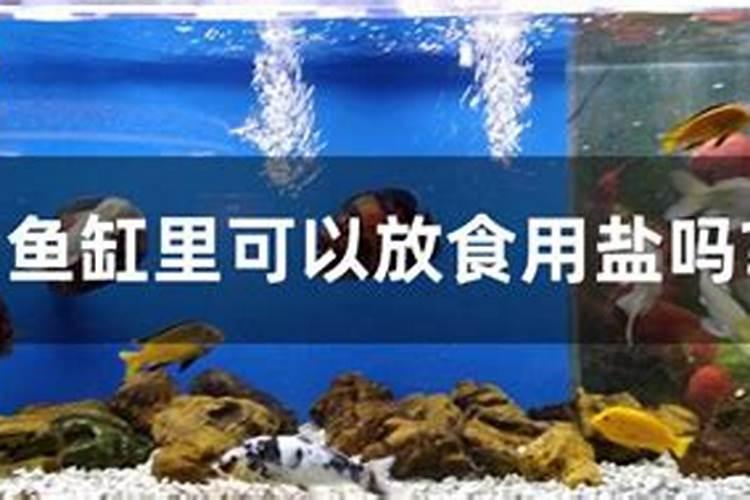 2025年犯太岁的生肖猴怎么化解 2025年犯太岁的生肖猴怎么躲星