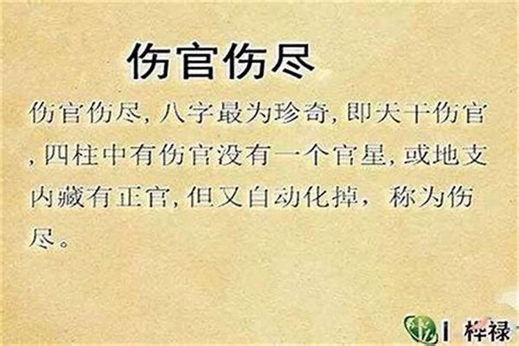 2025属龙几月桃花运旺