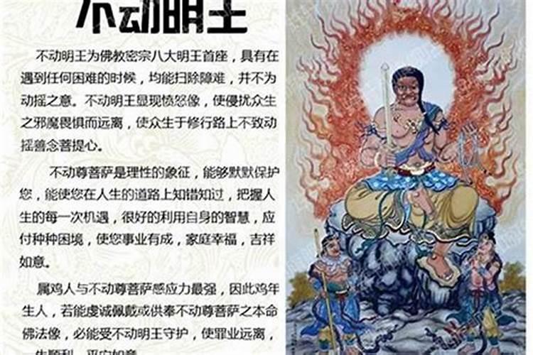 十二属相的本命佛道场？分别在哪里？