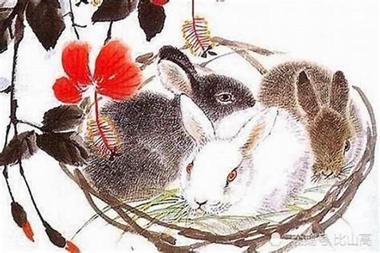 1975年属兔女士[50岁]2025年情感运势揭示,婚姻能否走向高潮？