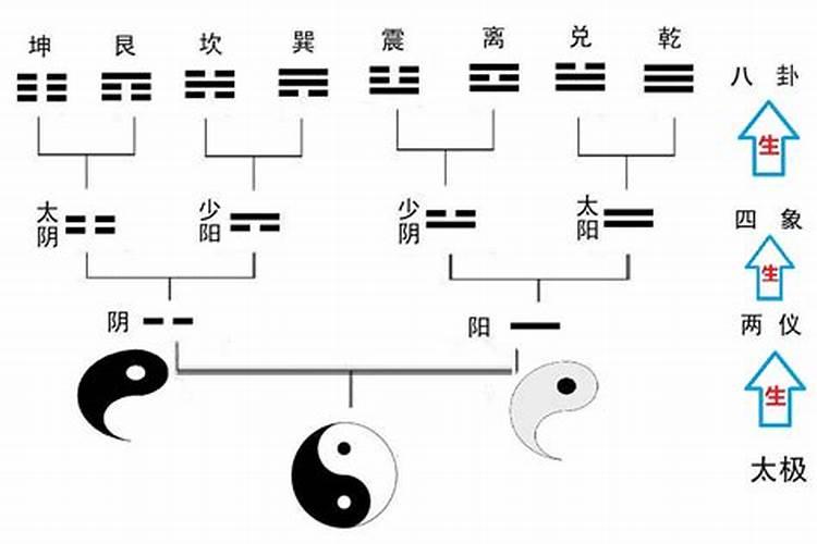 1978年属马2025运势完整版