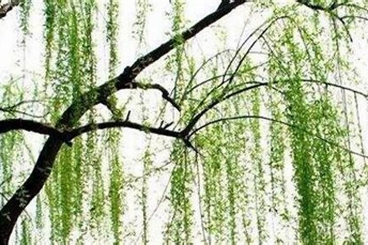 今年冬至是几月几日几点几分